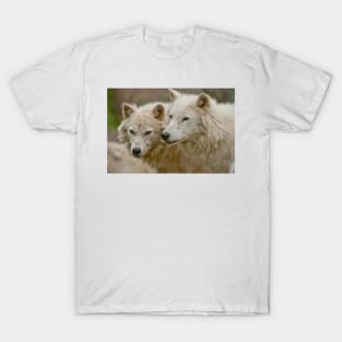 Arctic Wolves T-Shirt